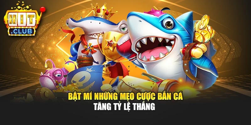 Bật mí những mẹo cược bắn cá tăng tỷ lệ thắng